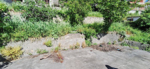 thumb_3539303_4.jpg