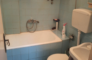 thumb_3539530_img_9937.jpeg