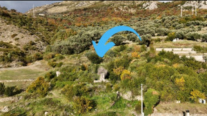 thumb_3539565_screenshot_20250409_194719_kleinanzeigen.jpg