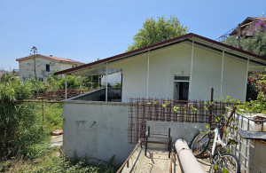 thumb_3540306_12.jpg