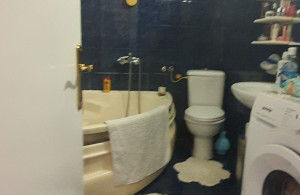thumb_3540442_20250409_121838.jpg