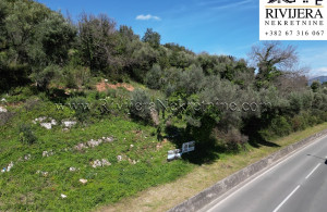 thumb_3541438_e_oglasi_ads_herceg_novi_denovici_-plac_landplot_land-7-.jpg