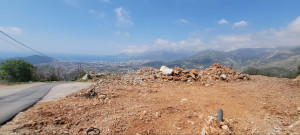 thumb_3542851_photo_12_2025-04-12_17-23-22.jpg