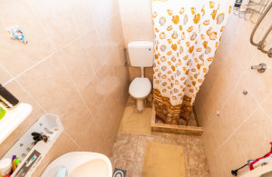thumb_3544777_img_8237.jpg