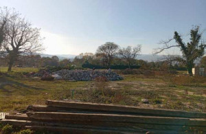 thumb_3545428_photo_2025-04-16_12-55-47.jpg