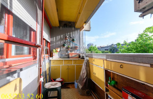 thumb_3546407_10.jpg