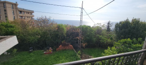 thumb_3548420_photo_6_2025-04-23_16-44-02.jpg