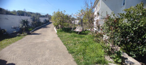 thumb_3550194_img_20250409_144448.jpg