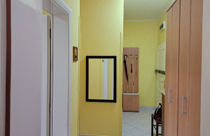 thumb_3551354_4.jpg
