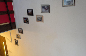 thumb_3552324_img-21a4e18c5382ac2ba7b371f8793b70c4-v.jpg