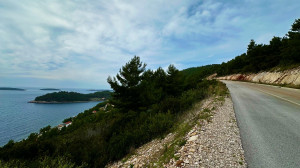 thumb_3553014_img_8860.jpg