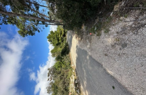 thumb_3553017_image7.jpeg