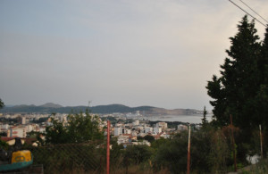 thumb_3553118_img_5069.jpg