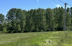 thumb_3553213_img_2419.jpg