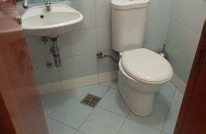 thumb_3553270_img_0768.jpeg