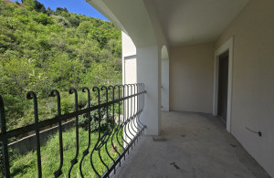 thumb_3554772_01.jpg