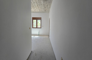 thumb_3554772_4.jpg