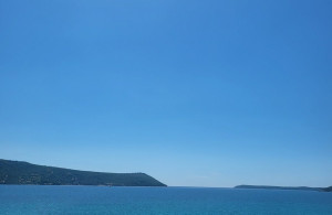 thumb_3554807_08.jpg