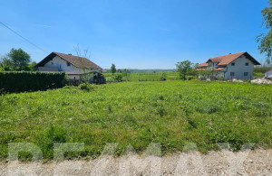 thumb_3554813_6.jpg