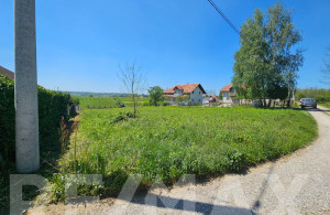 thumb_3554813_9.jpg
