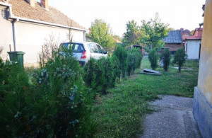 thumb_3555268_9-kuca-pozarevac--s0525.jpg