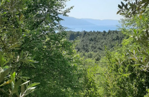 thumb_3555470_img-20250502-wa0007.jpg