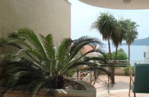 thumb_3555503_13.jpg