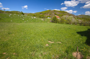 thumb_3556535_prodajem-zemljiste-plana-lipovo-3.jpg
