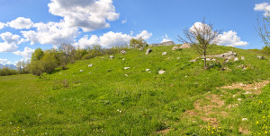 thumb_3556535_prodajem-zemljiste-plana-lipovo-6.jpg