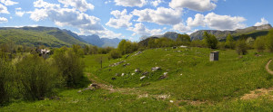 thumb_3556535_prodajem-zemljiste-plana-lipovo-7-scaled.jpg