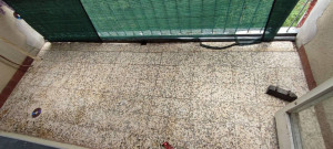 thumb_3557169_10.jpg