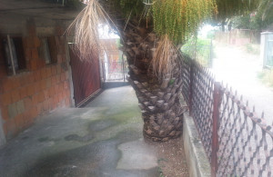 thumb_3557955_671.jpg
