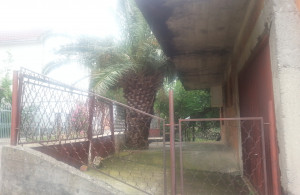 thumb_3557955_753.jpg