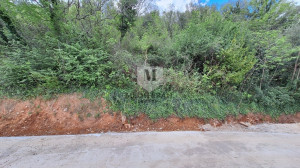 thumb_3558058_3.jpg