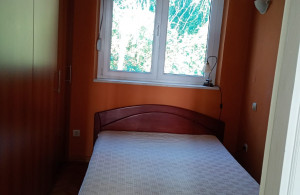 thumb_3558419_img-41a9fe20140a4ebbe1cf11215c184e15-v.jpg