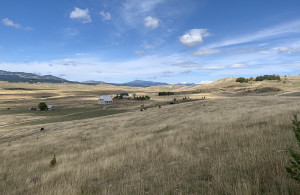 thumb_3559200_zabljak-plac-1.jpg