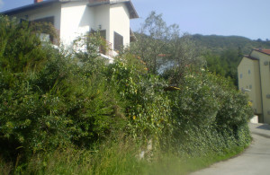 thumb_3559252_kuca-sa-puta-2.jpg