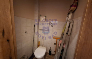 thumb_3559263_4.jpg
