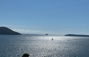 thumb_3560760_4.jpg