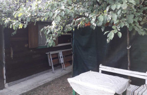 thumb_3560778_3.jpg