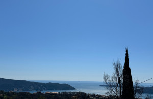 thumb_3560813_4.jpg