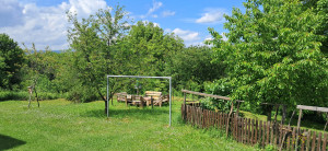 thumb_3560847_1.jpg