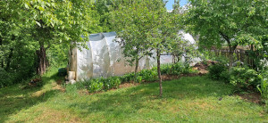 thumb_3560847_3.jpg