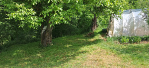 thumb_3560847_4.jpg