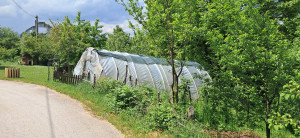 thumb_3560847_5.jpg