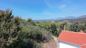 thumb_3560894_dji_20250409122236_0114_d.jpg