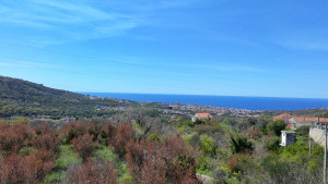 thumb_3561181_dji_20250409132501_0133_d.jpg