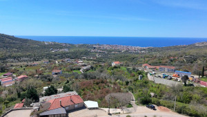 thumb_3561181_dji_20250409132541_0135_d.jpg