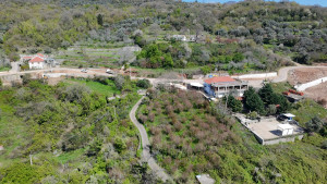 thumb_3561181_dji_20250409132705_0138_d.jpg