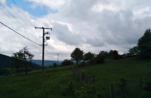 thumb_3561216_4.jpg